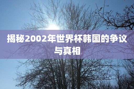 揭秘2002年世界杯韩国的争议与真相