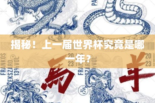 揭秘!上一届世界杯究竟是哪一年?广州熙林手袋有限公司