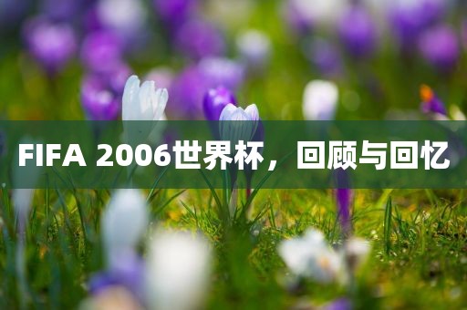 FIFA 2006世界杯，回顾广州熙林手袋有限公司与回忆