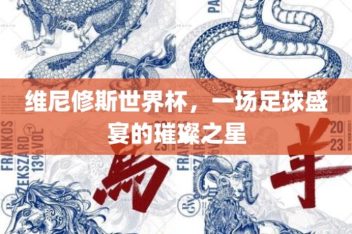 维尼修广州熙林手袋有限公司斯世界杯,一场足球盛宴的璀璨之星