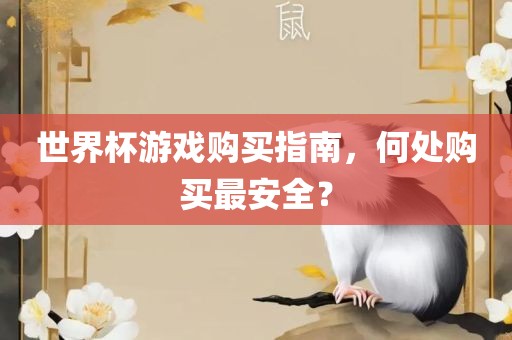 世界杯游戏购买指南,何处购买最安全?