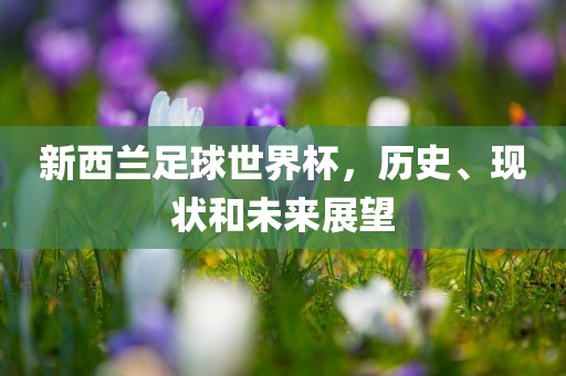 新西兰足球世界杯，历史、现状和未来展望