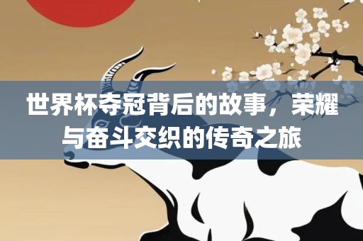 世界杯夺冠背后的故事,荣耀与奋斗交织的传奇之旅