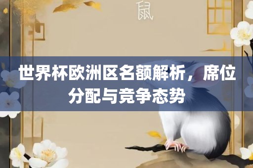 世界杯欧洲区名额解析，席位分配与竞争态势