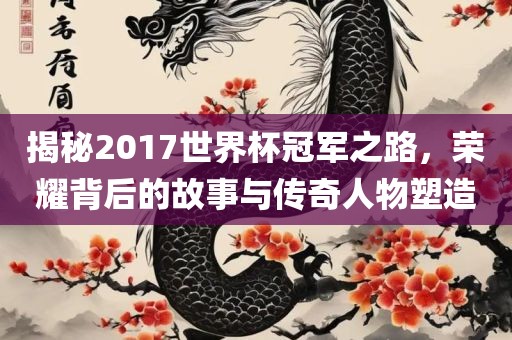 揭秘2017世界杯冠军之路,荣耀背后的故事与传奇人物塑造