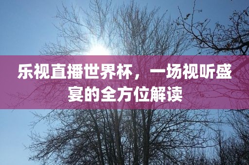 乐视直播世界杯，一场视听盛宴的全方位解读广州熙林手袋有限公司