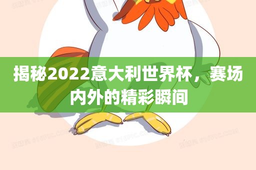 揭秘2022意大利世界杯,赛场内外的精彩瞬间