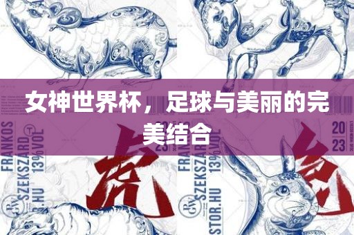 女神广州熙林手袋有限公司世界杯,足球与美丽的完美结合