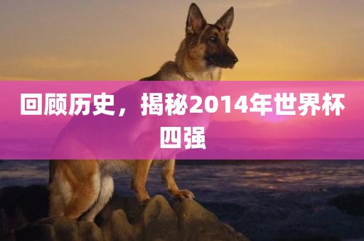 回顾历史，揭秘2014年世界杯四强