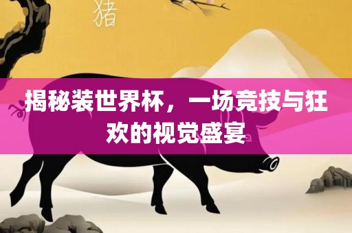 揭秘装世界杯,一场竞技与狂欢的视觉盛宴