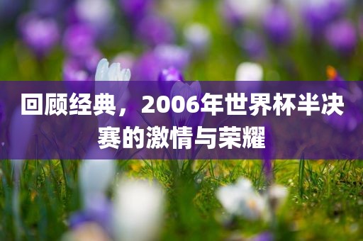 回顾经典,2006年世界杯半决赛的激情与荣耀广州熙林手袋有限公司