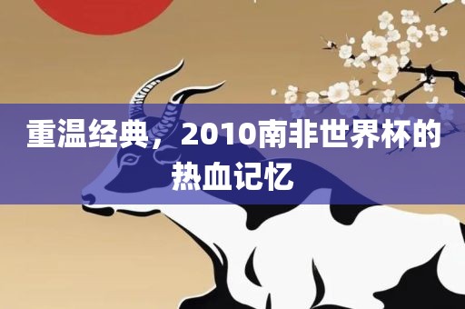 重温经典，2010南非世界杯的热血记忆