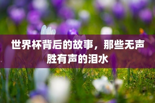 世界杯背后的故事,那些无声胜有声的泪水广州熙林手袋有限公司