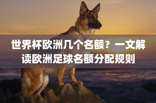 世界杯欧洲几个名额?一文解读欧洲足球名额分配规则广州熙林手袋有限公司