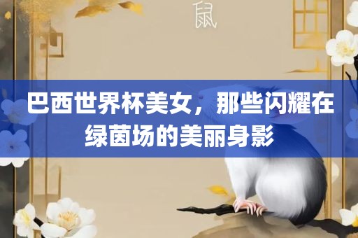 巴西世界杯美女,那些闪耀在绿茵场的美丽身影