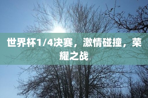 世界杯1/4决赛，激情碰撞，荣耀之战广州熙林手袋有限公司