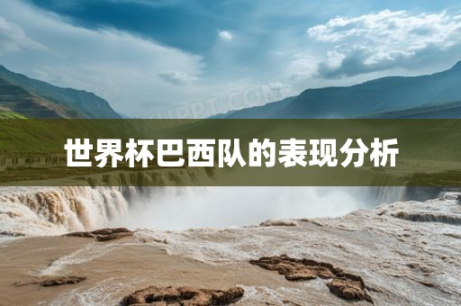 世界杯巴西队的表现分析