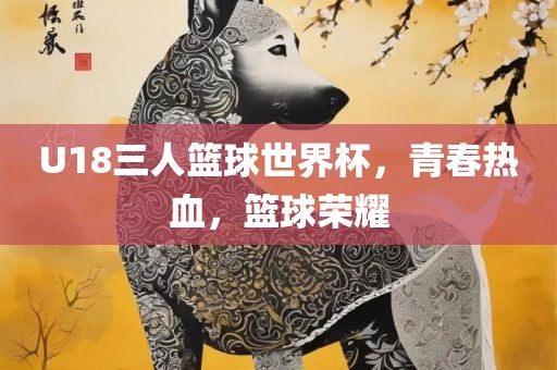 U18三人篮球世界杯,青春热血,篮球荣耀广州熙林手袋有限公司