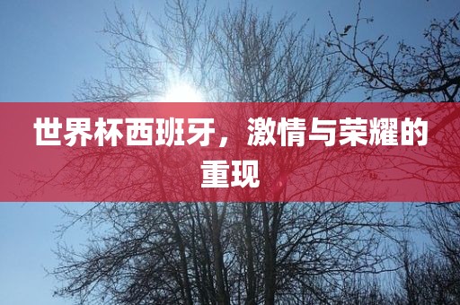 世界杯西班牙，激情与荣耀的重现