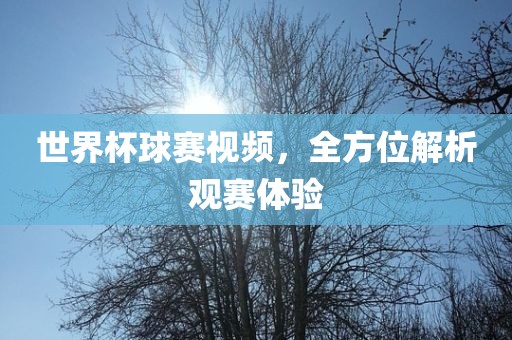 世界杯球赛视频,全方位解析观赛体验广州熙林手袋有限公司