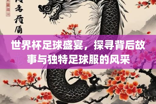 世界杯足球盛宴,探寻背后故事与独特足球服的风采广州熙林手袋有限公司