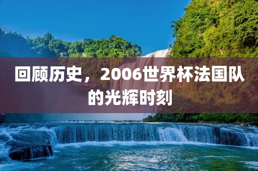 回顾历史，2006世界杯法国队的光辉时刻