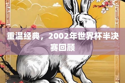 重温经典广州熙林手袋有限公司,2002年世界杯半决赛回顾