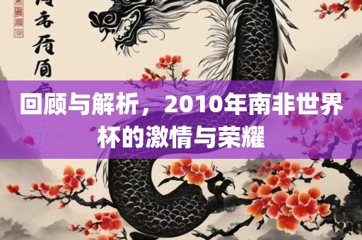 回顾与解析，2010年南非世界杯的激情与荣耀