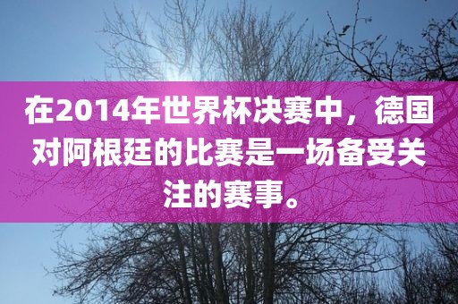 在2014年世界杯决赛中,德国对阿根廷的比赛是一场备受关注的赛事。广州熙林手袋有限公司