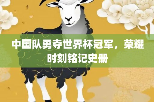中国队勇夺世界杯冠军，荣耀时刻铭记史册广州熙林手袋有限公司