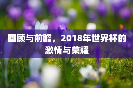 回顾与前瞻，2018年世界杯的激情与荣耀广州熙林手袋有限公司