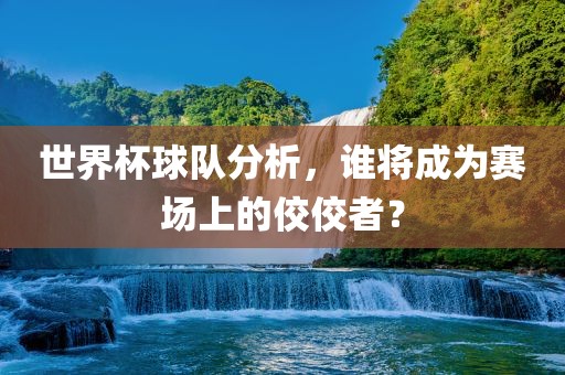 世界杯球队分析,谁将成为赛场上的佼佼者?