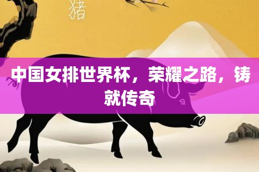 中国女排世界杯，荣耀之路，铸就传奇