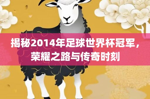 揭秘2014年足球世界杯冠军，荣耀之路与传奇时刻