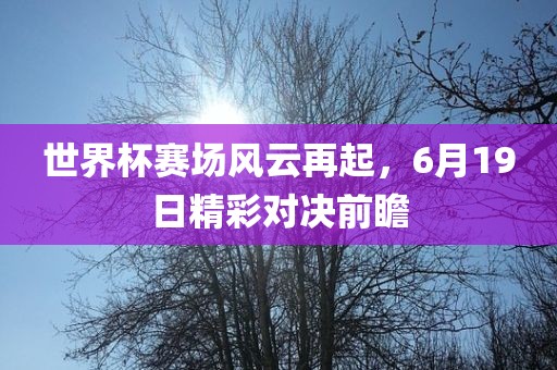 世界杯赛场风云再起,6月19日精彩对决前瞻广州熙林手袋有限公司