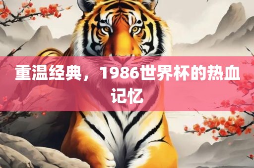 重温经典，1986世界杯的热血记忆