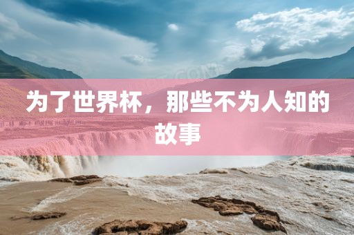 为了世界杯，那些不为人知的故事