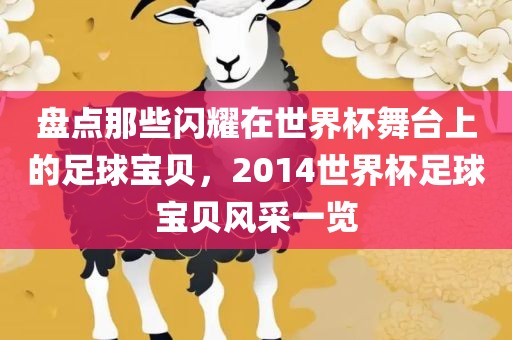 盘点那些闪耀在世界杯舞台上的足球宝贝,2014世界杯足球宝贝风采一览