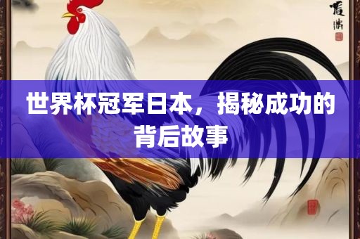 世界杯冠军日本，揭秘成功的背后故事