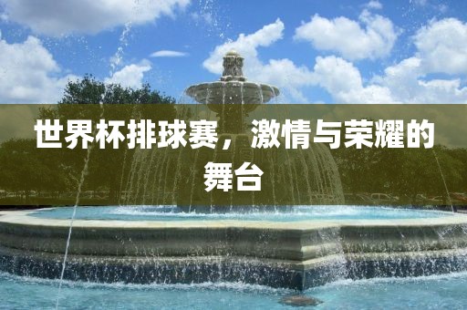 世界杯排球赛,激情与荣耀的舞台