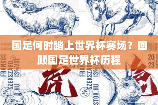 国足何时踏上世界杯赛场?回顾国足世界杯历程广州熙林手袋有限公司