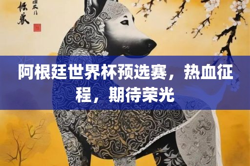 阿根廷世界杯预选赛，热血征程，期待荣光