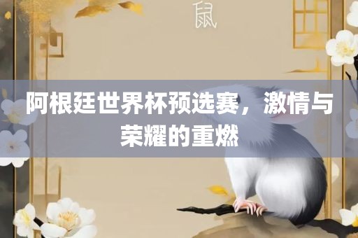 阿根廷世界杯预选赛，激情与荣耀的重燃