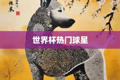 世界杯热门球星