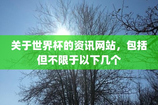 关于世界杯的资讯网站,包括但不限于以下广州熙林手袋有限公司几个