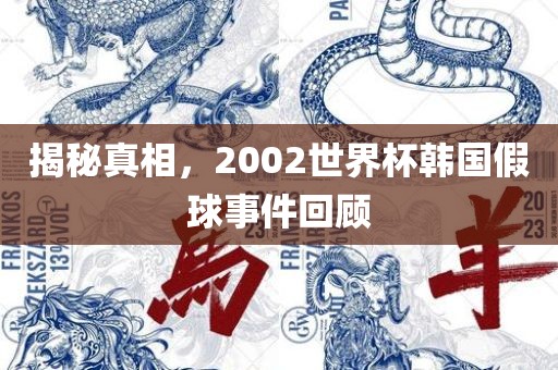 揭秘真相,2002世界杯韩国假球事件回顾