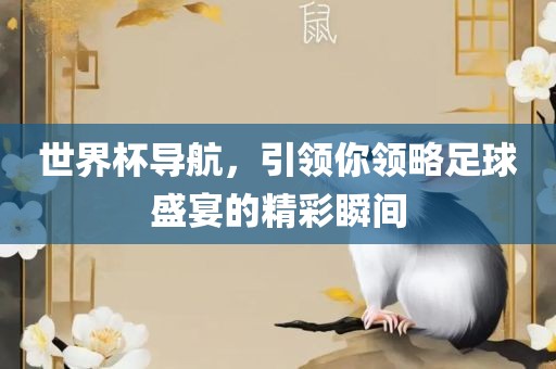 世界杯导航，引领你领略足球盛宴的精彩瞬间