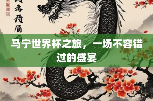 马宁世界杯之旅,一场不容错过的盛宴广州熙林手袋有限公司