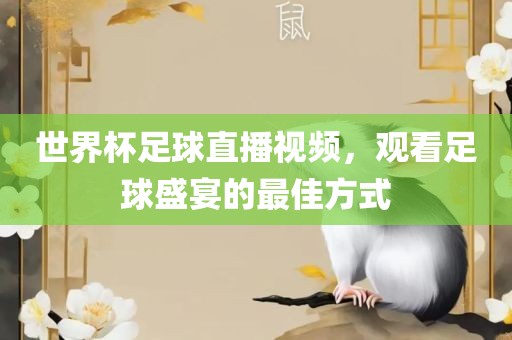 世界杯足球直播视频,观看足球盛宴的最佳方式