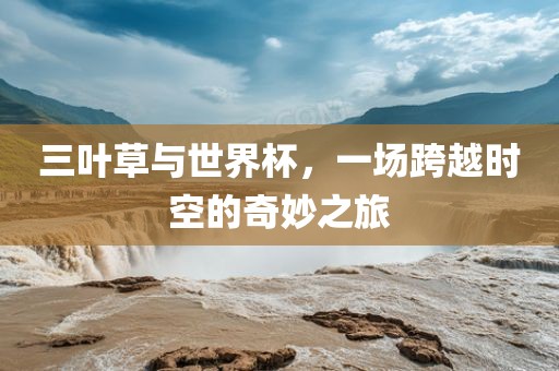 三叶草与世界杯,一场跨越时空的奇妙之旅